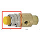 Captivated Push Button, White  (Yellow shown) (PC-1W)