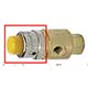 Captivated Push Button, White, Electroless Nickel Plated (Yellow shown) (PC-1B-ENP)